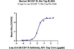 Immobilized Human M-CSF R, His Tag at 1 μg/mL (100 μL/Well).