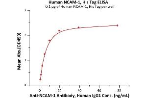Immobilized Human NCAM-1, His Tag (ABIN6992330) at 1 μg/mL (100 μL/well) can bind A-1 Antibody, Human IgG1 with a linear range of 0.