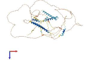 AlphaFold protein structure predicition of Mouse Recombinant Cnst Protein, UniprotID Q8CBC4