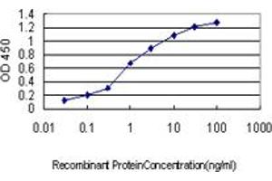 Detection limit for recombinant GST tagged NCK1 is approximately 0. (NCK1 anticorps  (AA 185-294))
