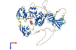 AlphaFold protein structure predicition of Human Recombinant DLG3 Protein, UniprotID Q92796