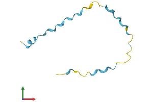 AlphaFold protein structure predicition of Mouse Recombinant Sprr2f Protein, UniprotID O70557