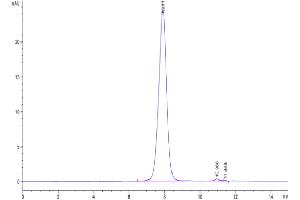 Size-exclusion chromatography-High Pressure Liquid Chromatography (SEC-HPLC) image for SARS-CoV-2 Spike S1 (P.1 - gamma) protein (His tag) (ABIN7274778)