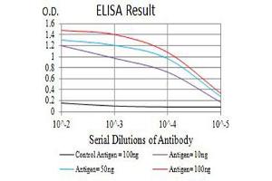 Black line: Control Antigen (100 ng),Purple line: Antigen (10 ng), Blue line: Antigen (50 ng), Red line:Antigen (100 ng)
