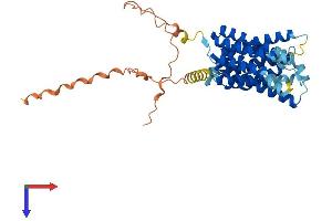 AlphaFold protein structure predicition of Mouse Recombinant Slc35f1 Protein, UniprotID Q8BGK5