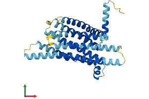 AlphaFold protein structure predicition of Human Recombinant TAS2R43 Protein, UniprotID P59537