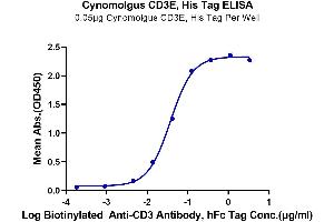 Immobilized Cynomolgus CD3E, His Tag at 0.