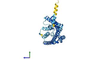 AlphaFold protein structure predicition of Human Recombinant OR51E2 Protein, UniprotID Q9H255