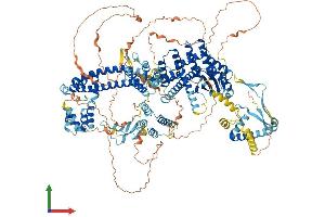 AlphaFold protein structure predicition of Mouse Recombinant Sin3a Protein, UniprotID Q60520