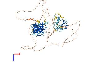 AlphaFold protein structure predicition of Human Recombinant SHC3 Protein, UniprotID Q92529