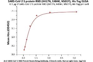 Immobilized SARS-CoV-2 S protein RBD (K417N, E484K, N501Y), His Tag (ABIN6973240) at 1 μg/mL (100 μL/well) can bind A-CoV-2 RBD Potent Neutralizing Antibody, Chimeric mAb, Human IgG1 (AM128)  with a linear range of 0.