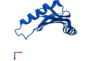 AlphaFold protein structure predicition of Mouse Recombinant Lamtor5 Protein, UniprotID Q9D1L9