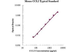 ELISA image for Chemokine (C-C Motif) Ligand 2 (CCL2) ELISA Kit (ABIN3198406) (CCL2 Kit ELISA)