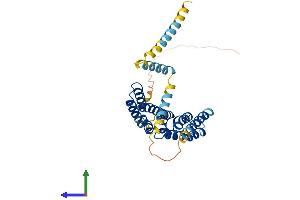 AlphaFold protein structure predicition of Human Recombinant PEX26 Protein, UniprotID Q7Z412