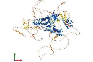 AlphaFold protein structure predicition of Mouse Recombinant Tnk2 Protein, UniprotID O54967