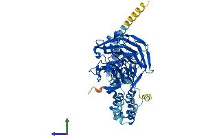 AlphaFold protein structure predicition of Human Recombinant KLHL7 Protein, UniprotID Q8IXQ5