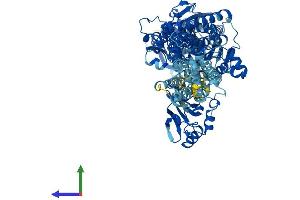 AlphaFold protein structure predicition of Mouse Recombinant Atp2a1 Protein, UniprotID Q8R429