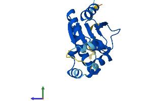 AlphaFold protein structure predicition of Mouse Recombinant Idnk Protein, UniprotID Q8R0J8
