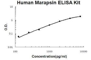 Human Marapsin/Pancresin PicoKine ELISA Kit standard curve (PRSS27 Kit ELISA)