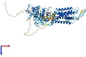 AlphaFold protein structure predicition of Mouse Recombinant Abcg8 Protein, UniprotID Q9DBM0