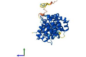 AlphaFold protein structure predicition of Human Recombinant ANXA9 Protein, UniprotID O76027