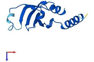 AlphaFold protein structure predicition of Human Recombinant LSM2 Protein, UniprotID Q9Y333