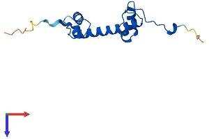 AlphaFold protein structure predicition of Mouse Recombinant H2az2 Protein, UniprotID Q3THW5