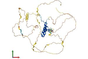 AlphaFold protein structure predicition of Human Recombinant SOX3 Protein, UniprotID P41225