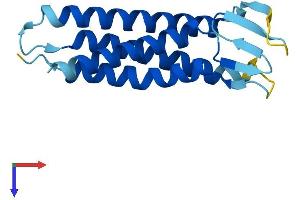 AlphaFold protein structure predicition of Human Recombinant PMP22 Protein, UniprotID Q01453