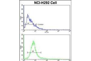 Flow cytometric analysis of NCI-H292 cells using EEF1A1/ EEF1A2 Antibody (N-term)(bottom histogram) compared to a negative control cell (top histogram). (EEF1A2 anticorps  (AA 46-72))