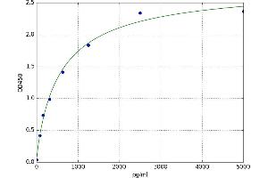 A typical standard curve