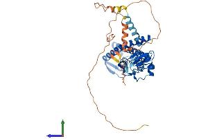 AlphaFold protein structure predicition of Human Recombinant ZDHHC11 Protein, UniprotID Q9H8X9