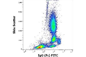 Flow cytometry surface staining pattern of human peripheral whole blood stained using anti-human IgG (Fc) (EM-07) FITC antibody (3 μL reagent / 100 μL of peripheral whole blood). (Souris anti-Humain IgG (Fc Region) Anticorps (FITC))