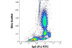 Flow cytometry surface staining pattern of human peripheral whole blood stained using anti-human IgG (Fc) (EM-07) FITC antibody (3 μL reagent / 100 μL of peripheral whole blood).