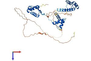AlphaFold protein structure predicition of Human Recombinant PAX4 Protein, UniprotID O43316