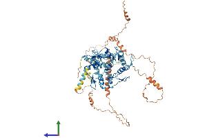 AlphaFold protein structure predicition of Human Recombinant ZKSCAN8 Protein, UniprotID Q15776