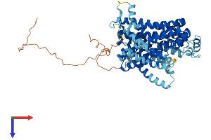 AlphaFold protein structure predicition of Mouse Recombinant Slc11a2 Protein, UniprotID P49282