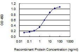 Detection limit for recombinant GST tagged ZNF28 is 0.