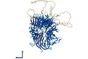 AlphaFold protein structure predicition of Mouse Recombinant Cpsf1 Protein, UniprotID Q9EPU4