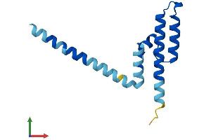 AlphaFold protein structure predicition of Mouse Recombinant Pam16 Protein, UniprotID Q9CQV1