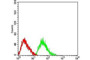 Flow cytometric analysis of HL-60 cells using CD125 mouse mAb (green) and negative control (red). (IL5RA anticorps  (AA 21-196))