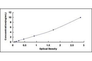 Typical standard curve (MYH1 Kit ELISA)