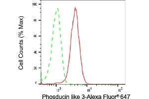 Flow cytometric analysis of Phosducin like 3 expression in HeLa cells using Phosducin like 3 antibody (ABIN7799787), 1:1,000). (PDCL3 anticorps)