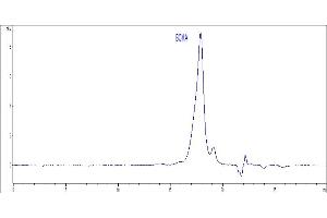 The purity of Human BCMA Protein, His Tag (Hied) was greater than 80 % as determined by .