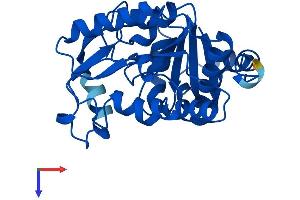 AlphaFold protein structure predicition of Mouse Recombinant Gnpda2 Protein, UniprotID Q9CRC9