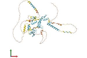 AlphaFold protein structure predicition of Human Recombinant ZNF579 Protein, UniprotID Q8NAF0