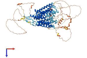 AlphaFold protein structure predicition of Mouse Recombinant Mfsd6 Protein, UniprotID Q8CBH5