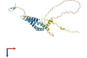 AlphaFold protein structure predicition of Human Recombinant OCIAD1 Protein, UniprotID Q9NX40