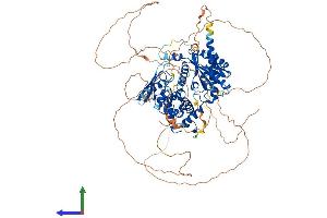 AlphaFold protein structure predicition of Human Recombinant ILF3 Protein, UniprotID Q12906