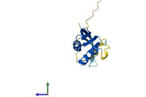AlphaFold protein structure predicition of Mouse Recombinant Pop7 Protein, UniprotID Q9DCH2